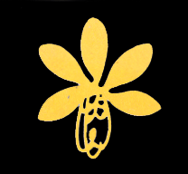 logo.gif (12352 bytes)